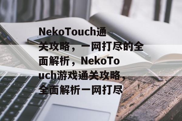NekoTouch通关攻略,一网打尽的全面解析,NekoTouch游戏通关攻略,全面解析一网打尽 NekoTouch通关攻略,一网打尽的全面解析,NekoTouch游戏通关攻略,全面解析一网打尽
