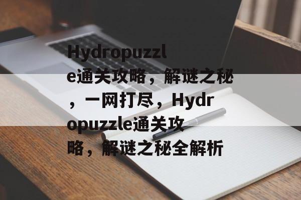 Hydropuzzle通关攻略，解谜之秘，一网打尽，Hydropuzzle通关攻略，解谜之秘全解析