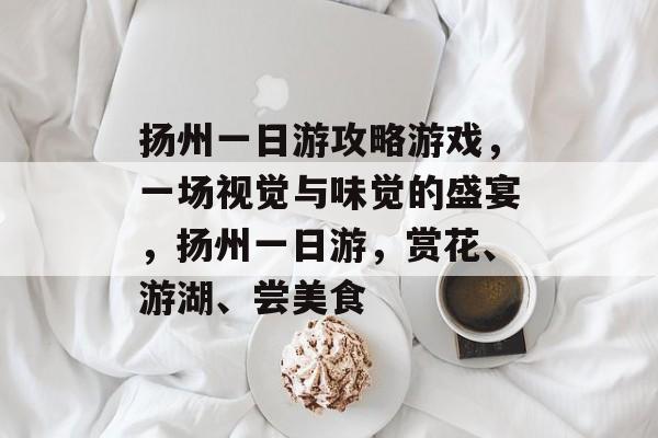 扬州一日游攻略游戏，一场视觉与味觉的盛宴，扬州一日游，赏花、游湖、尝美食