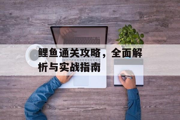 鲤鱼通关攻略,全面解析与实战指南 鲤鱼通关攻略,全面解析与实战指南