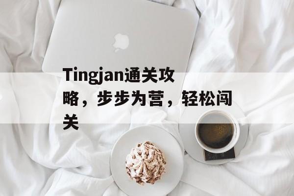 Tingjan通关攻略，步步为营，轻松闯关