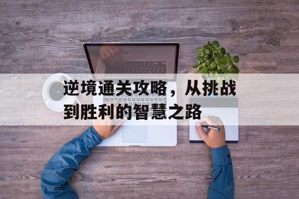 逆境通关攻略，从挑战到胜利的智慧之路