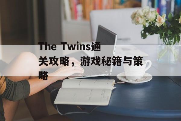 The Twins通关攻略，游戏秘籍与策略