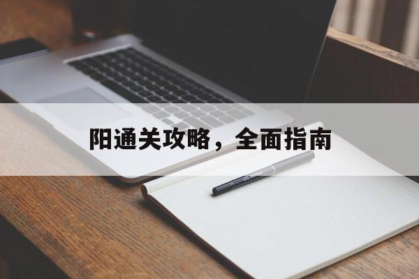 阳通关攻略,全面指南 阳通关攻略,全面指南