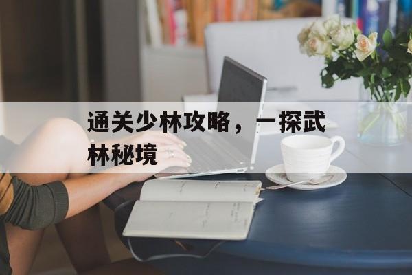 通关少林攻略，一探武林秘境