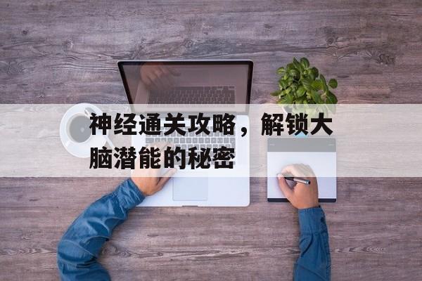 神经通关攻略,解锁大脑潜能的秘密 神经通关攻略,解锁大脑潜能的秘密