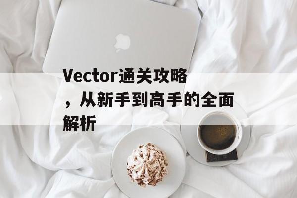 Vector通关攻略,从新手到高手的全面解析 Vector通关攻略,从新手到高手的全面解析