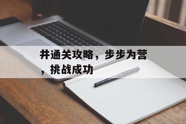 井通关攻略,步步为营,挑战成功 井通关攻略,步步为营,挑战成功