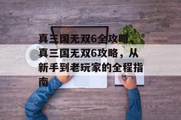 真三国无双6全攻略,真三国无双6攻略,从新手到老玩家的全程指南 真三国无双6全攻略,真三国无双6攻略,从新手到老玩家的全程指南