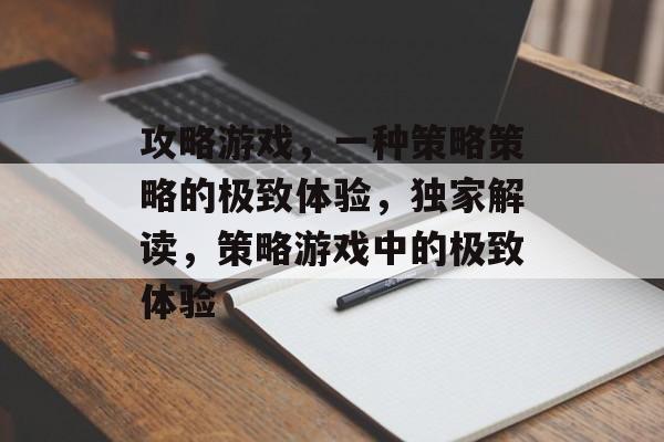 攻略游戏，一种策略策略的极致体验，独家解读，策略游戏中的极致体验