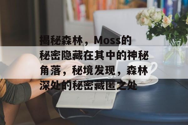 揭秘森林，Moss的秘密隐藏在其中的神秘角落，秘境发现，森林深处的秘密藏匿之处