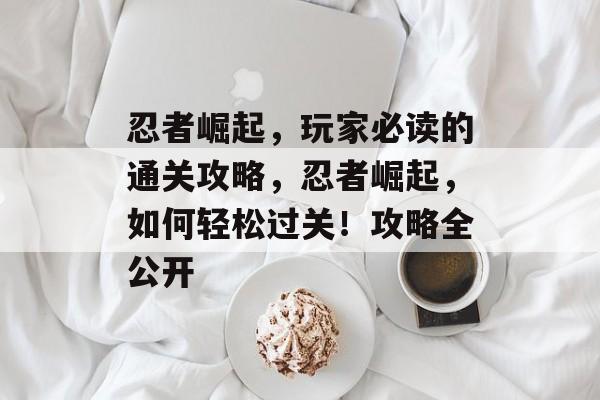 忍者崛起，玩家必读的通关攻略，忍者崛起，如何轻松过关！攻略全公开
