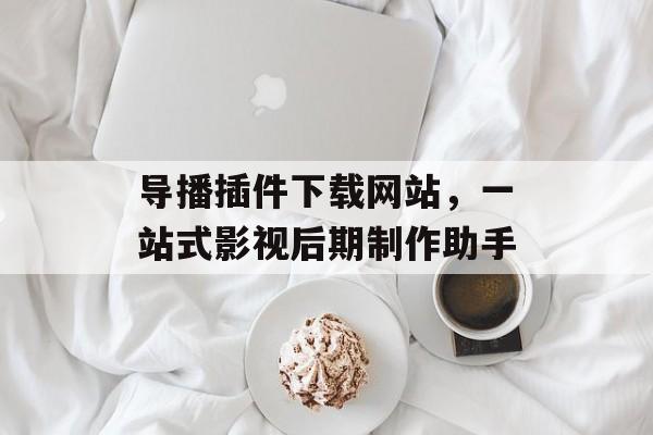 导播插件下载网站,一站式影视后期制作助手 导播插件下载网站,一站式影视后期制作助手