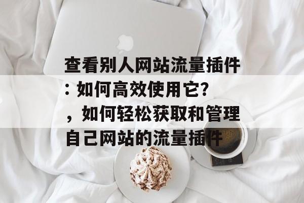 查看别人网站流量插件: 如何高效使用它?,如何轻松获取和管理自己网站的流量插件 查看别人网站流量插件: 如何高效使用它?,如何轻松获取和管理自己网站的流量插件