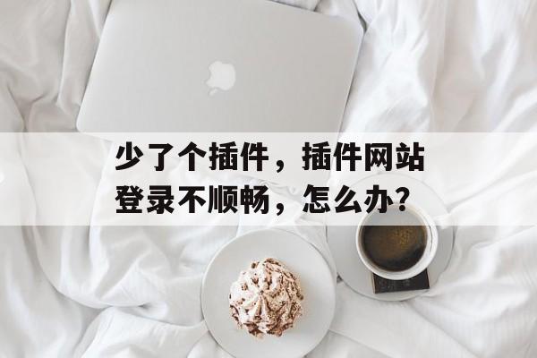 少了个插件，插件网站登录不顺畅，怎么办？