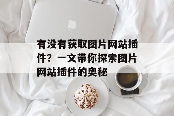 有没有获取图片网站插件?一文带你探索图片网站插件的奥秘 有没有获取图片网站插件?一文带你探索图片网站插件的奥秘