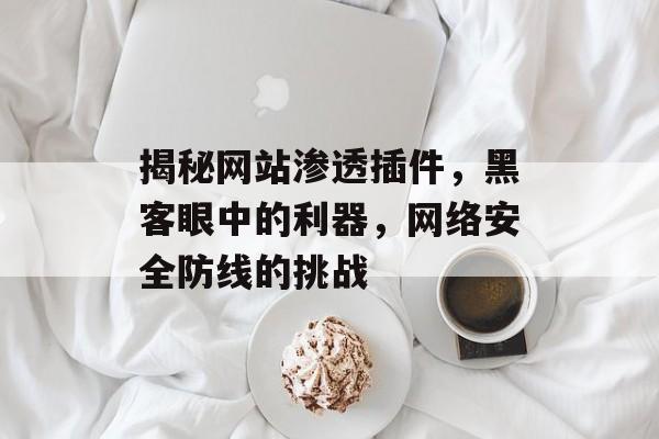 揭秘网站渗透插件,黑客眼中的利器,网络安全防线的挑战 揭秘网站渗透插件,黑客眼中的利器,网络安全防线的挑战