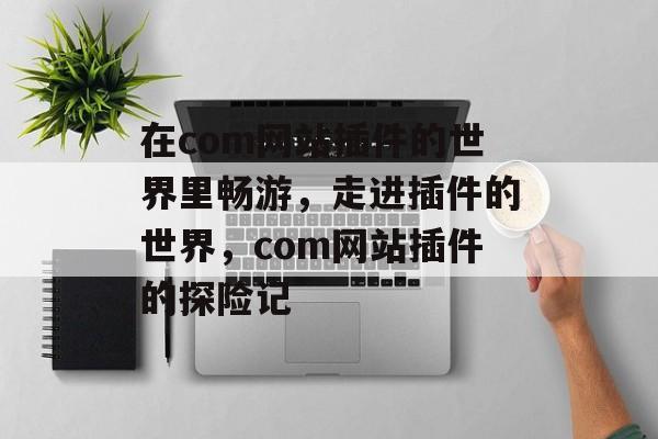 在com网站插件的世界里畅游,走进插件的世界,com网站插件的探险记 在com网站插件的世界里畅游,走进插件的世界,com网站插件的探险记
