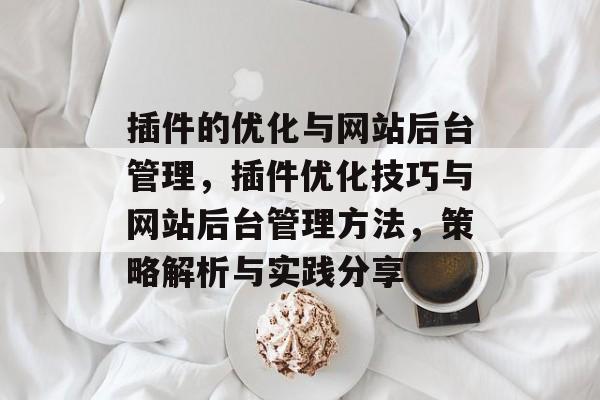 插件的优化与网站后台管理,插件优化技巧与网站后台管理方法,策略解析与实践分享 插件的优化与网站后台管理,插件优化技巧与网站后台管理方法,策略解析与实践分享