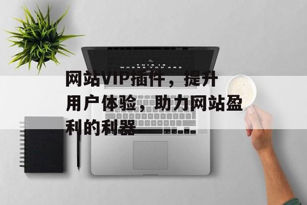 网站VIP插件,提升用户体验,助力网站盈利的利器 网站VIP插件,提升用户体验,助力网站盈利的利器