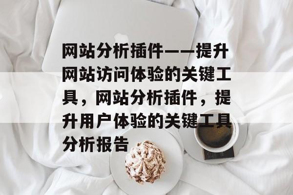 网站分析插件——提升网站访问体验的关键工具，网站分析插件，提升用户体验的关键工具分析报告