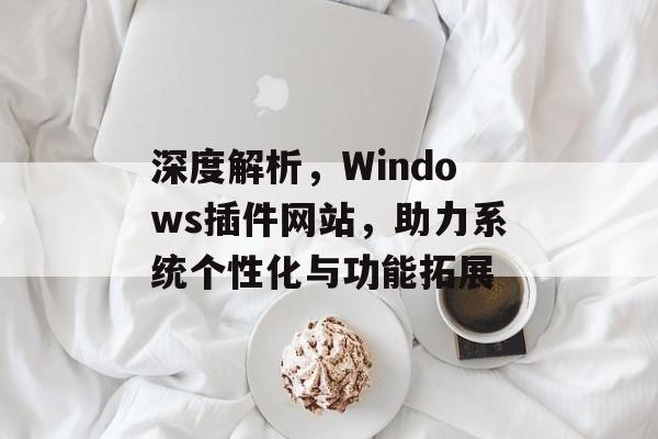 深度解析,Windows插件网站,助力系统个性化与功能拓展 深度解析,Windows插件网站,助力系统个性化与功能拓展