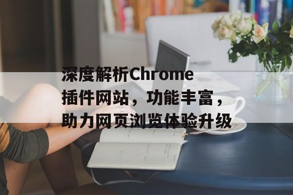深度解析Chrome插件网站，功能丰富，助力网页浏览体验升级