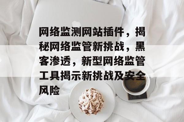 网络监测网站插件,揭秘网络监管新挑战,黑客渗透,新型网络监管工具揭示新挑战及安全风险 网络监测网站插件,揭秘网络监管新挑战,黑客渗透,新型网络监管工具揭示新挑战及安全风险