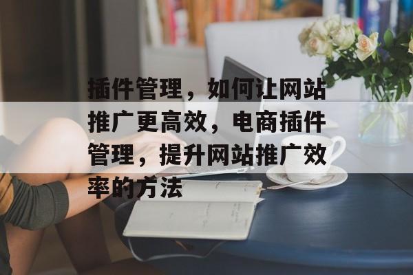 插件管理,如何让网站推广更高效,电商插件管理,提升网站推广效率的方法 插件管理,如何让网站推广更高效,电商插件管理,提升网站推广效率的方法