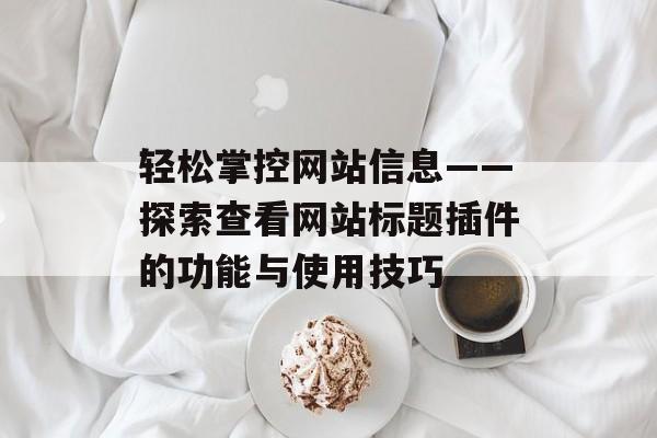 轻松掌控网站信息——探索查看网站标题插件的功能与使用技巧 轻松掌控网站信息——探索查看网站标题插件的功能与使用技巧