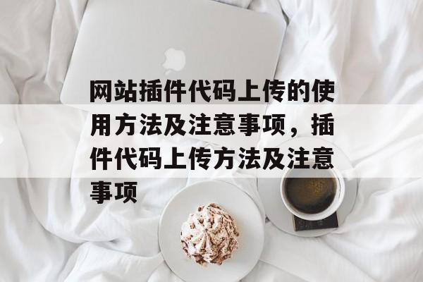 网站插件代码上传的使用方法及注意事项,插件代码上传方法及注意事项 网站插件代码上传的使用方法及注意事项,插件代码上传方法及注意事项