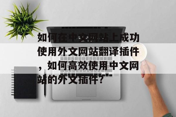 如何在中文网站上成功使用外文网站翻译插件,如何高效使用中文网站的外文插件? 如何在中文网站上成功使用外文网站翻译插件,如何高效使用中文网站的外文插件?