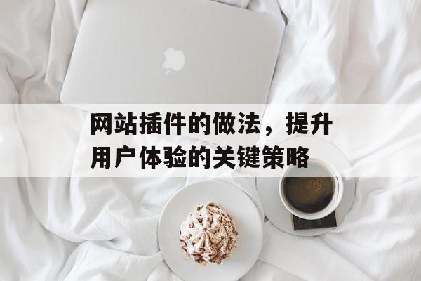 网站插件的做法,提升用户体验的关键策略 网站插件的做法,提升用户体验的关键策略
