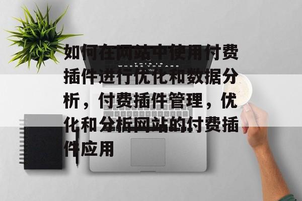 如何在网站中使用付费插件进行优化和数据分析，付费插件管理，优化和分析网站的付费插件应用