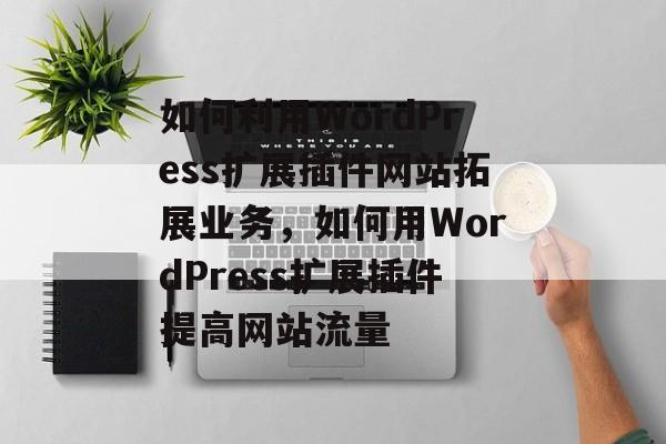 如何利用WordPress扩展插件网站拓展业务，如何用WordPress扩展插件提高网站流量