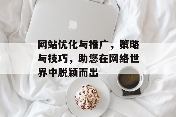 网站优化与推广，策略与技巧，助您在网络世界中脱颖而出
