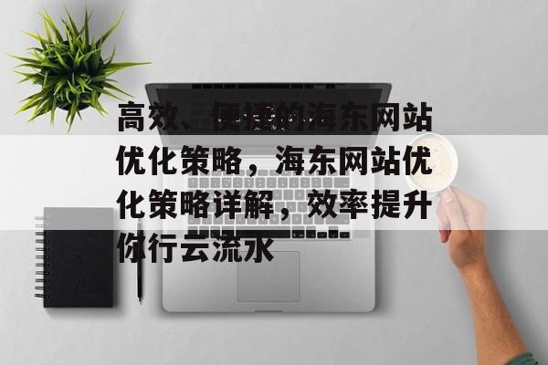 高效、便捷的海东网站优化策略,海东网站优化策略详解,效率提升你行云流水 高效、便捷的海东网站优化策略,海东网站优化策略详解,效率提升你行云流水