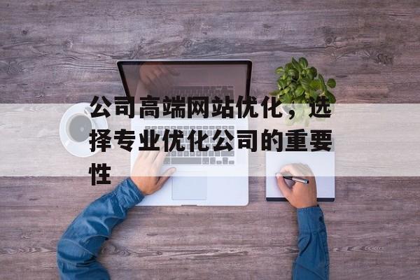 公司高端网站优化,选择专业优化公司的重要性 公司高端网站优化,选择专业优化公司的重要性