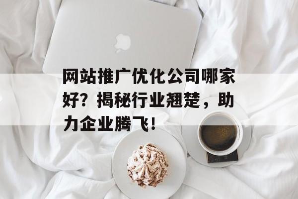 网站推广优化公司哪家好？揭秘行业翘楚，助力企业腾飞！