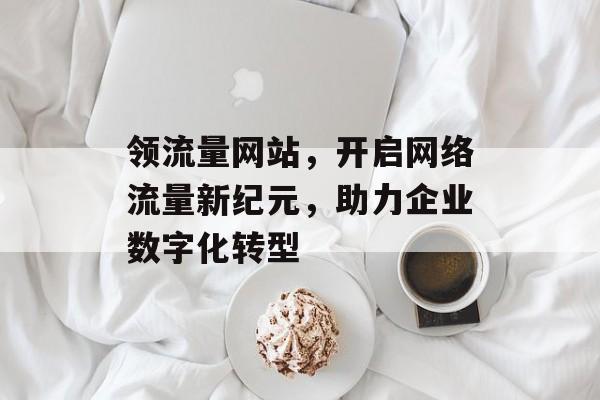 领流量网站，开启网络流量新纪元，助力企业数字化转型