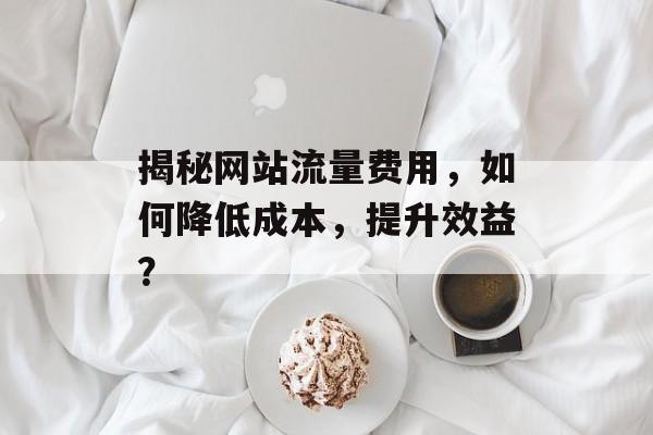 揭秘网站流量费用,如何降低成本,提升效益? 揭秘网站流量费用,如何降低成本,提升效益?