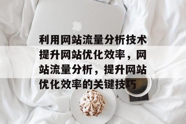 利用网站流量分析技术提升网站优化效率，网站流量分析，提升网站优化效率的关键技巧