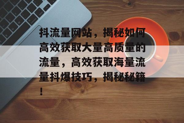 抖流量网站，揭秘如何高效获取大量高质量的流量，高效获取海量流量抖爆技巧，揭秘秘籍！