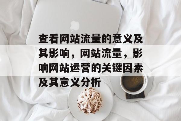 查看网站流量的意义及其影响,网站流量,影响网站运营的关键因素及其意义分析 查看网站流量的意义及其影响,网站流量,影响网站运营的关键因素及其意义分析
