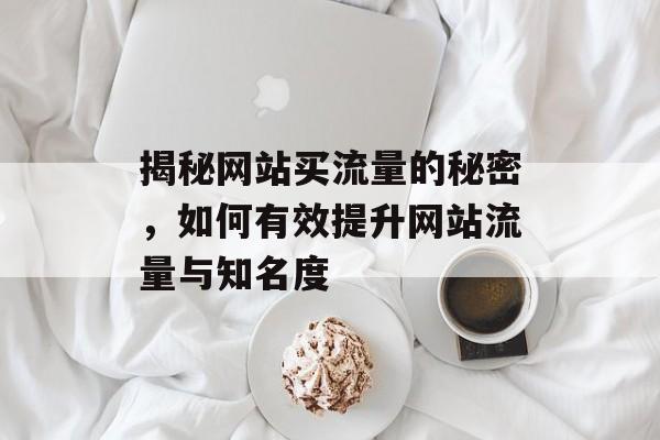 揭秘网站买流量的秘密，如何有效提升网站流量与知名度