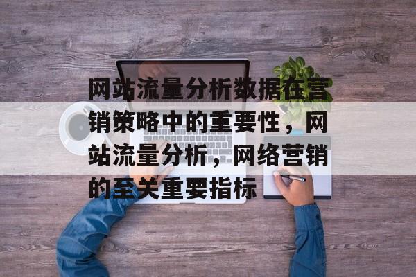 网站流量分析数据在营销策略中的重要性，网站流量分析，网络营销的至关重要指标