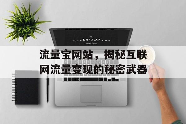 流量宝网站，揭秘互联网流量变现的秘密武器