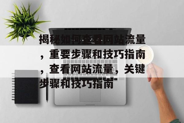 揭秘如何查看网站流量,重要步骤和技巧指南,查看网站流量,关键步骤和技巧指南 揭秘如何查看网站流量,重要步骤和技巧指南,查看网站流量,关键步骤和技巧指南