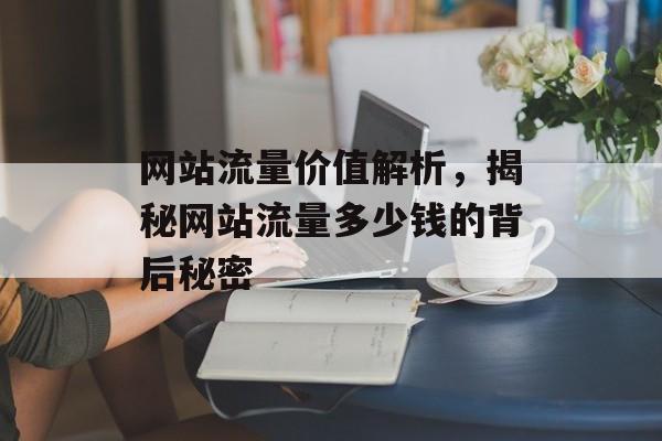 网站流量价值解析，揭秘网站流量多少钱的背后秘密