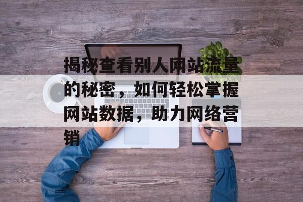 揭秘查看别人网站流量的秘密,如何轻松掌握网站数据,助力网络营销 揭秘查看别人网站流量的秘密,如何轻松掌握网站数据,助力网络营销